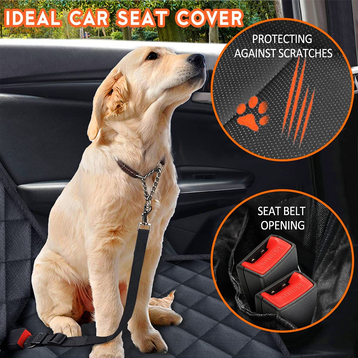 PawShield Pro